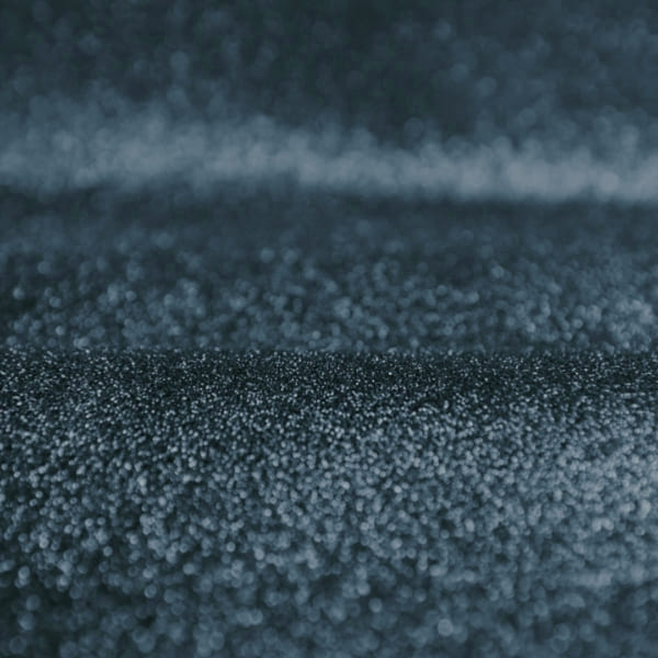 صدفی آبی رویال - Image 3