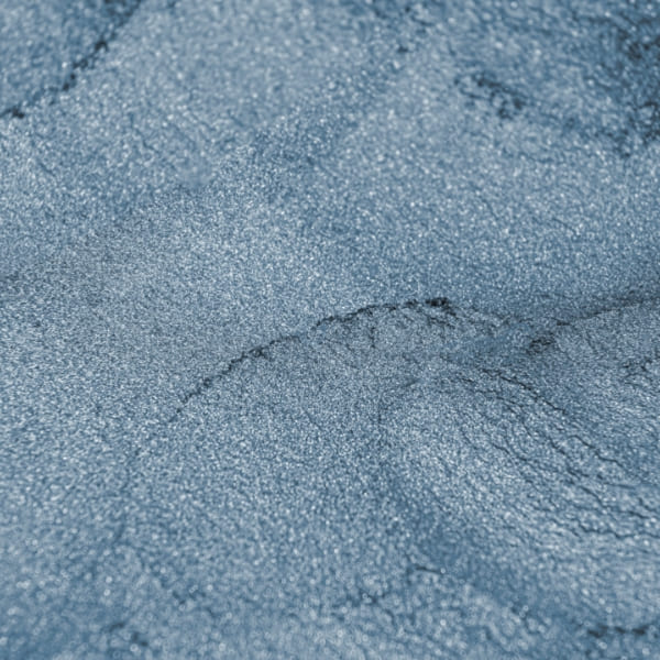 صدفی آبی رویال - Image 4