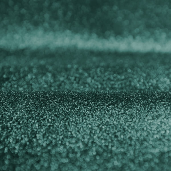 صدفی سبزکله غازی - Image 4