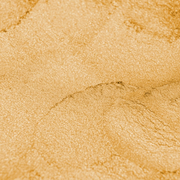 صدفی طلایی - Image 4