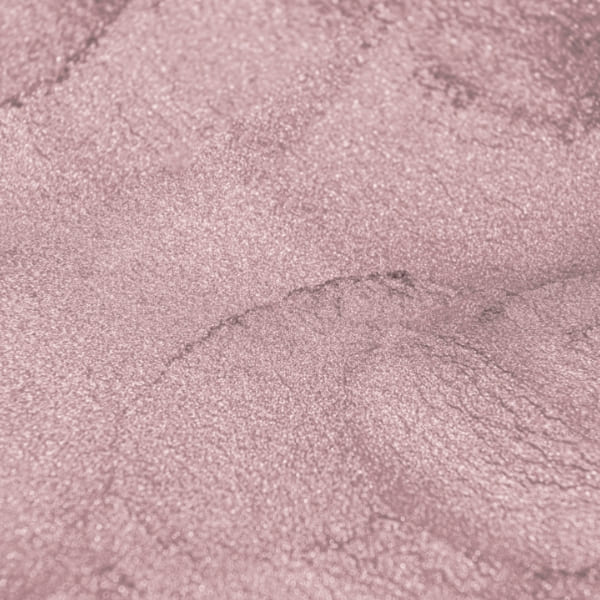 صدفی کرم تمشک - Image 4