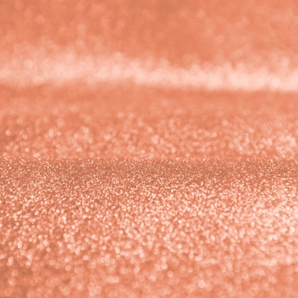 صدفی گل بهی - Image 3