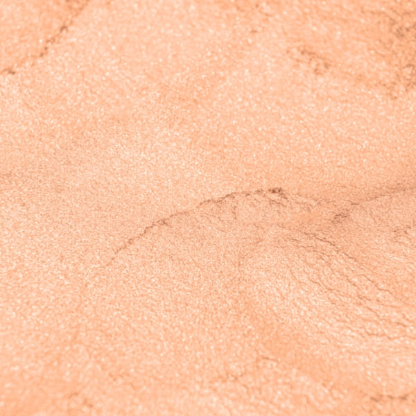 صدفی گل بهی - Image 4