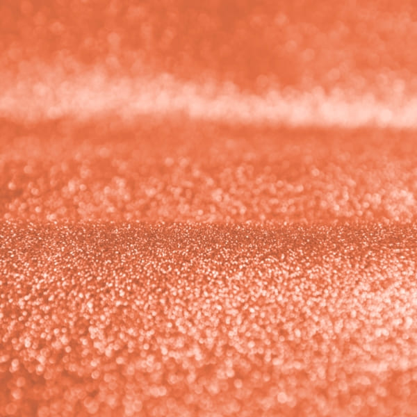 صدفی نارنجی - Image 3