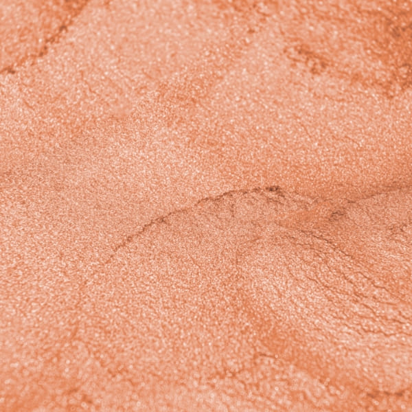 صدفی نارنجی - Image 4