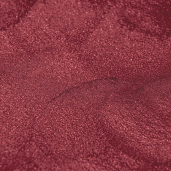 صدفی قرمز - Image 4