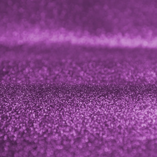 صدفی ارغوانی - Image 3