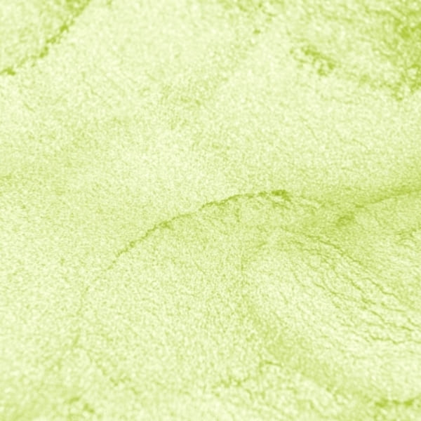 صدفی مغزپسته ای - Image 4