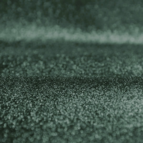 صدفی سبز تیره - Image 3