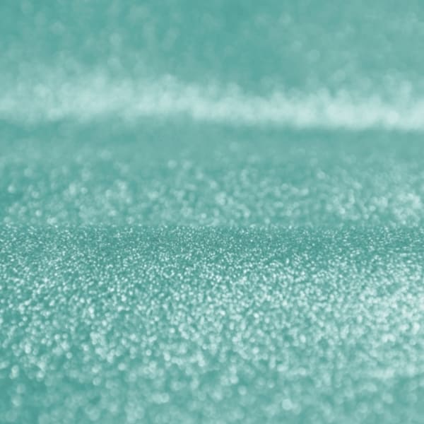 صدفی سبزآبی - Image 3