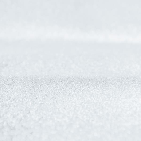 صدفی آبی فیلی - Image 3