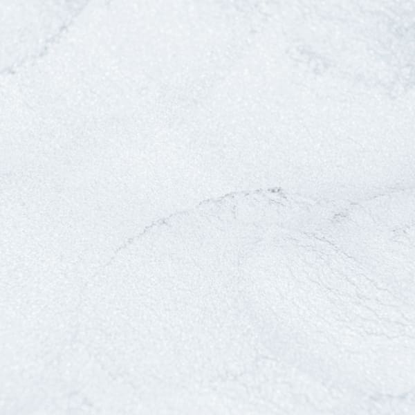 صدفی آبی فیلی - Image 4