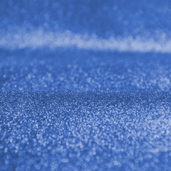 صدفی آبی - Image 3