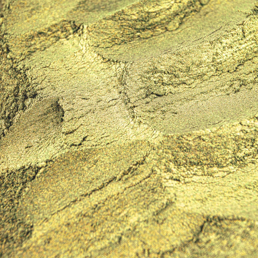 صدفی طاووسی سبز - Image 3