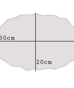 قالب بیضیT-258