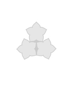 قالب گیفت سه قلو کد 02