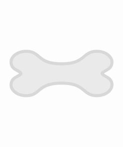 قالب استخوان