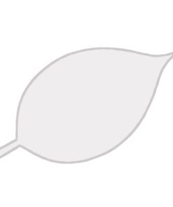 قالب برگ دیفن باخیاCG-296