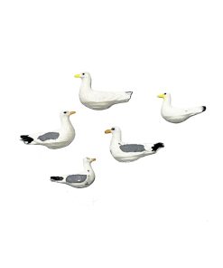 ماکت مرغ ماهی خوار