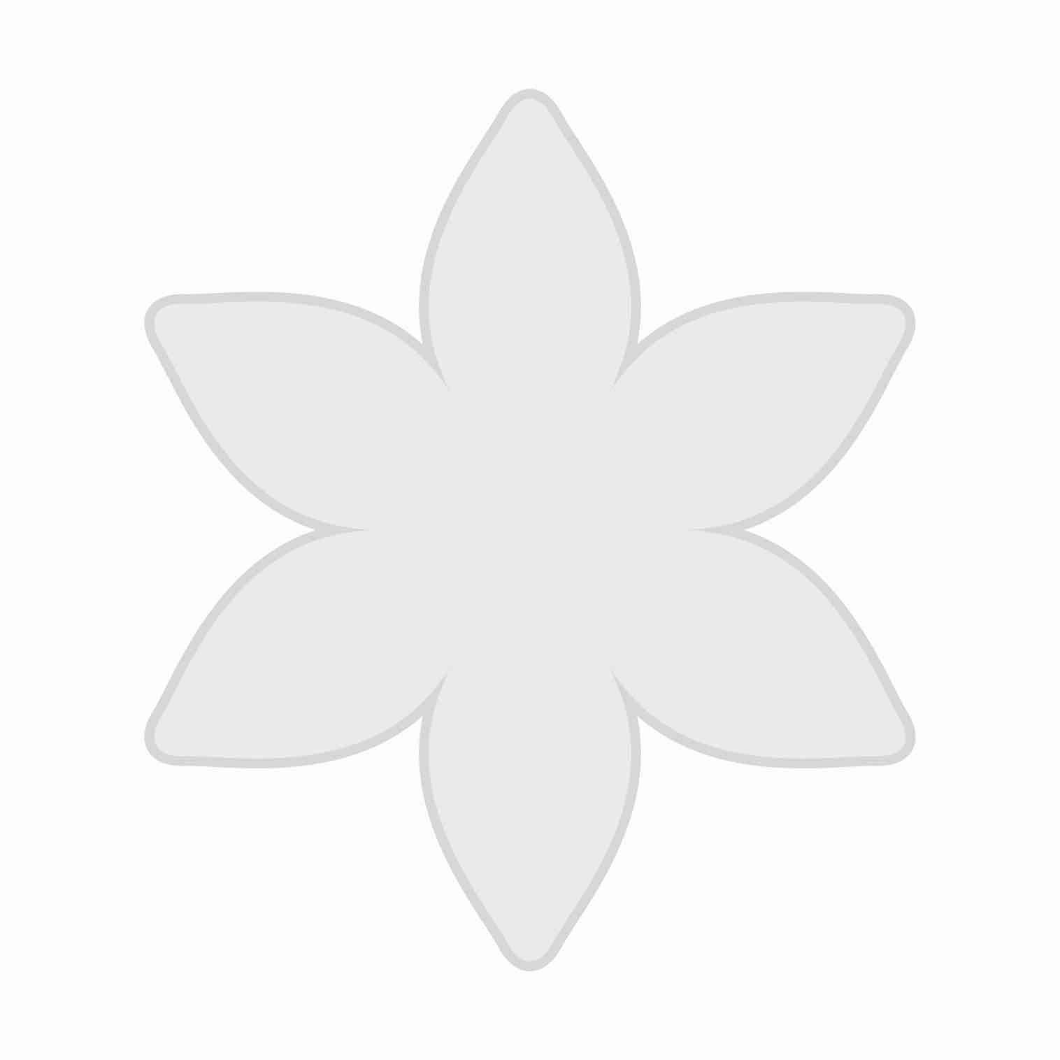 قالب گل ۶ پر