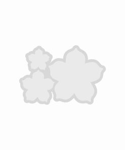 قالب گیفت سه قلو کد 06