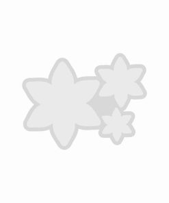 قالب گیفت سه قلو کد 08