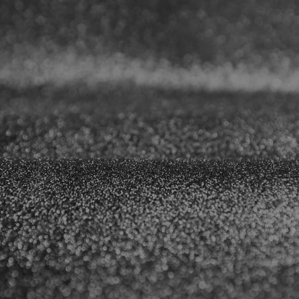 صدفی نوک مدادی - Image 3