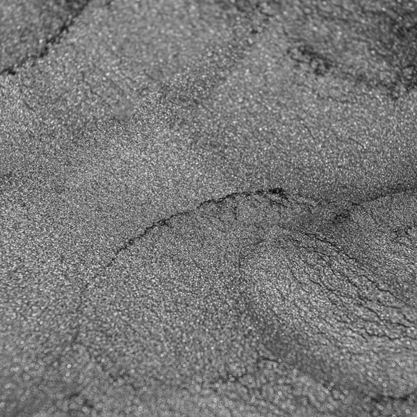 صدفی نوک مدادی - Image 4