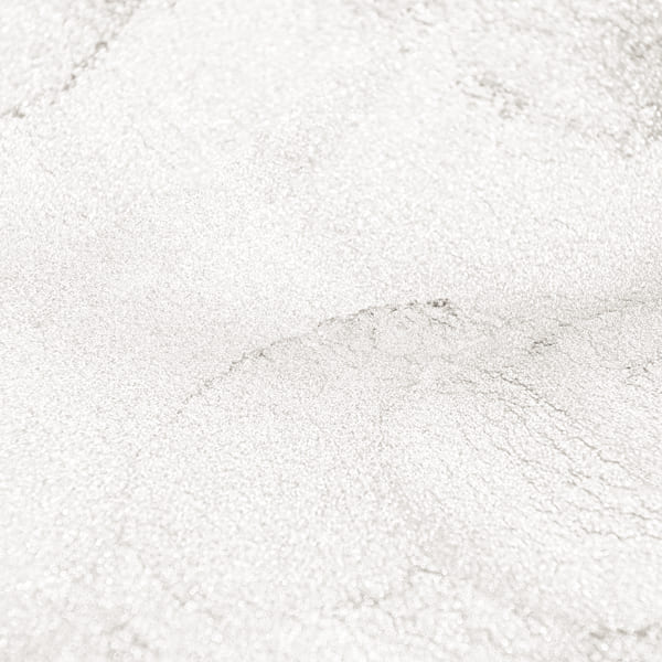 صدفی سفید - Image 3