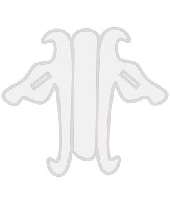 قالب استند موبایل 02