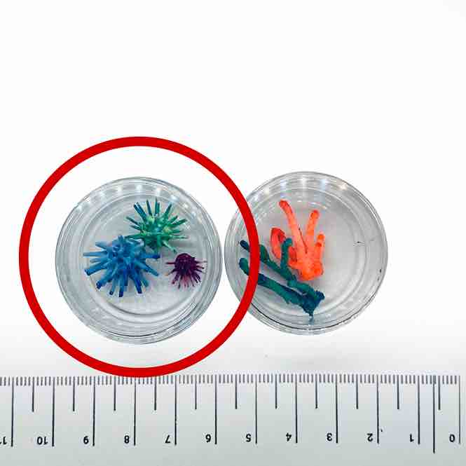 ماکت توتیای 2-cm 1 رنگی 3 عددی