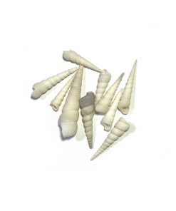 دیزاین دریا مدل حلزونی سفید