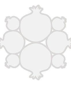 قالب شیت انار