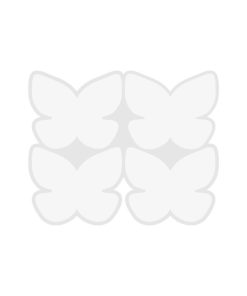 قالب شیت پروانه 02