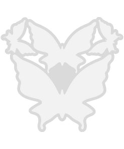 قالب شیت پروانه