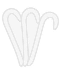 قالب آبنبات عصایی 01