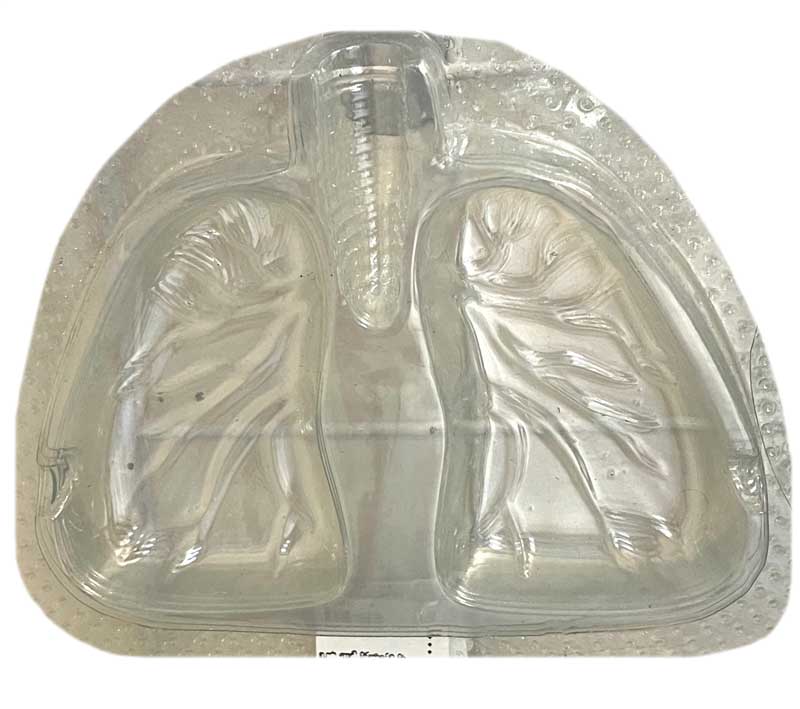 قالب طلقی زیرسیگاری ریه