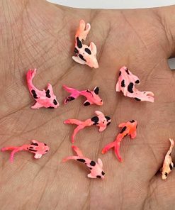 ماکت ماهی کف تخت 04