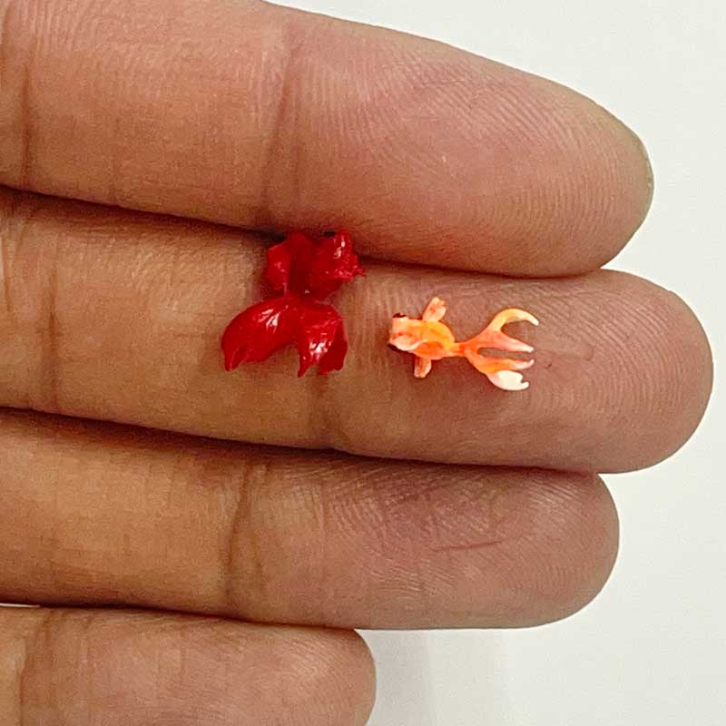 ماکت مینیاتوری ماهی سه دم - Image 3