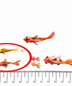 ماکت ماهی کف تخت 03