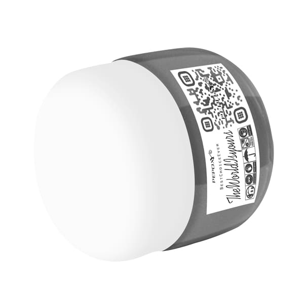 صدفی نوک مدادی - Image 2