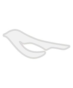 قالب هولدر صفحه