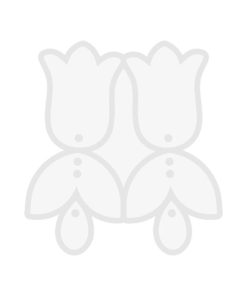 قالب گوشواره لاله